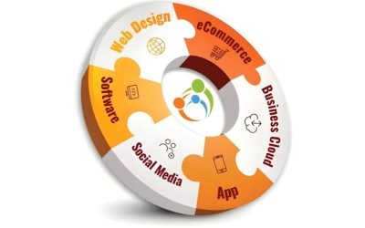 How to Choose the Right Digital Platform Partner for Your Business?